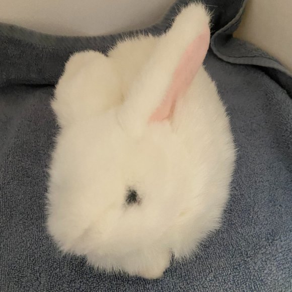 Ty Beanie Baby – Nibble The Bunny, Kuscheliges Hasen-Plüschtier Für Kinder Ab 3 Jahren
